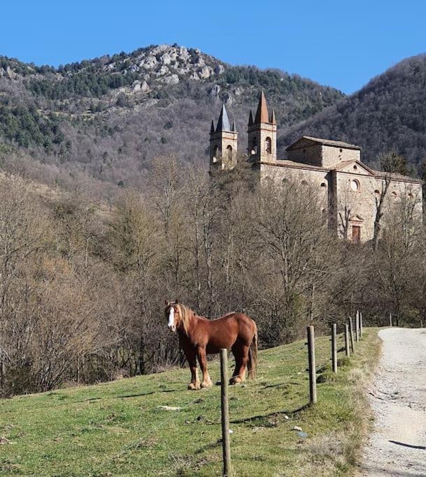 El Mussol De La Vila Camprodon, Balconets Amb Vistes A La Placa Exterior foto
